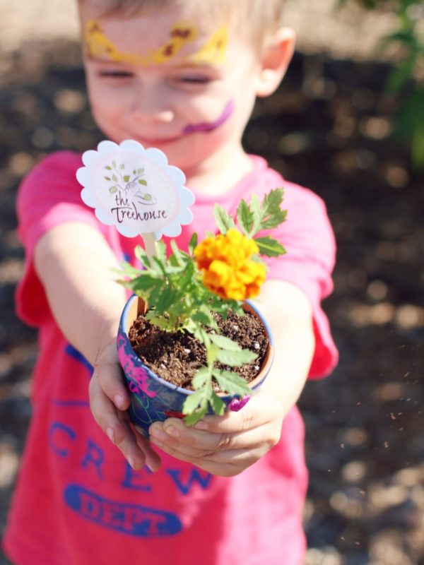 Giveaway Winner Spring Family Fun Day