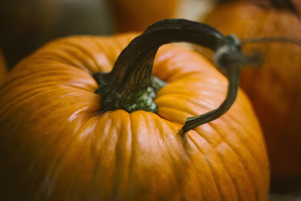 Pumpkin art projects