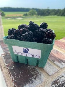 Janzen Ranch Blackberries