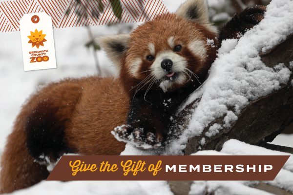 Gift Guide 2022 ZOo