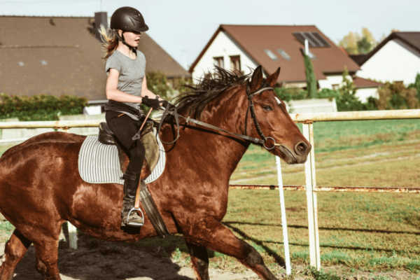 Horse Riding Lessons in Wichita Stables Horse Riding Lessons in Wichita Stables
