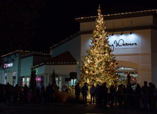 Christmas Tree Lighting