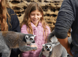 Tanganyika Wildlife Park Future of Kansas Tourism