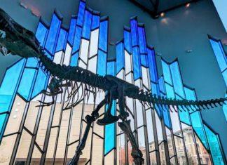 dinosaurs fossils wichita kanas
