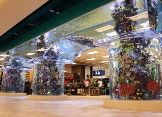 large aquarium in SCHEELS entryway