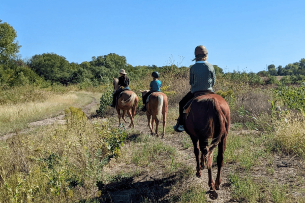 Horseback riding lessons in Wichita Trail rides with C Arrow Stables in Maize KS (photo copyright Wichita Mom)