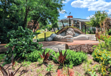 things to do in Wichita