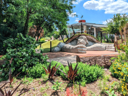 things to do in Wichita