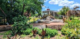 things to do in Wichita
